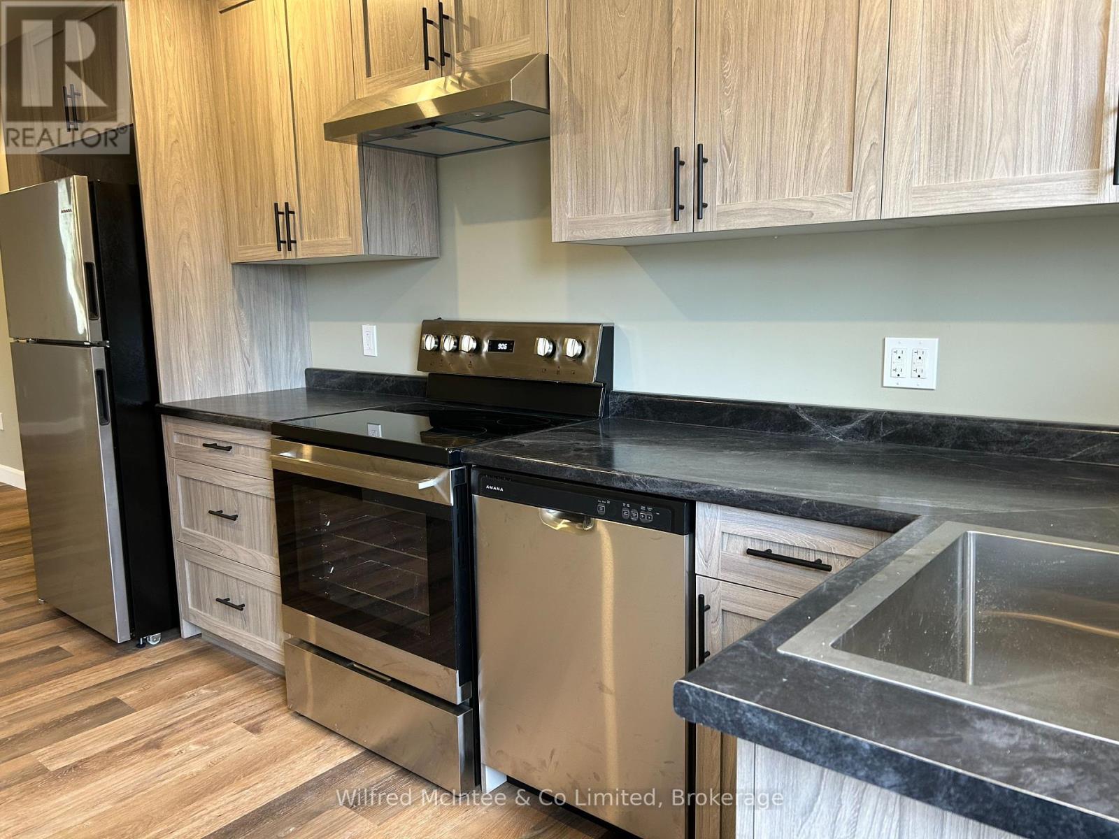 Unit 1 - 187 Balaklava Street, Arran-Elderslie, ON - Indoor Photo Showing Kitchen