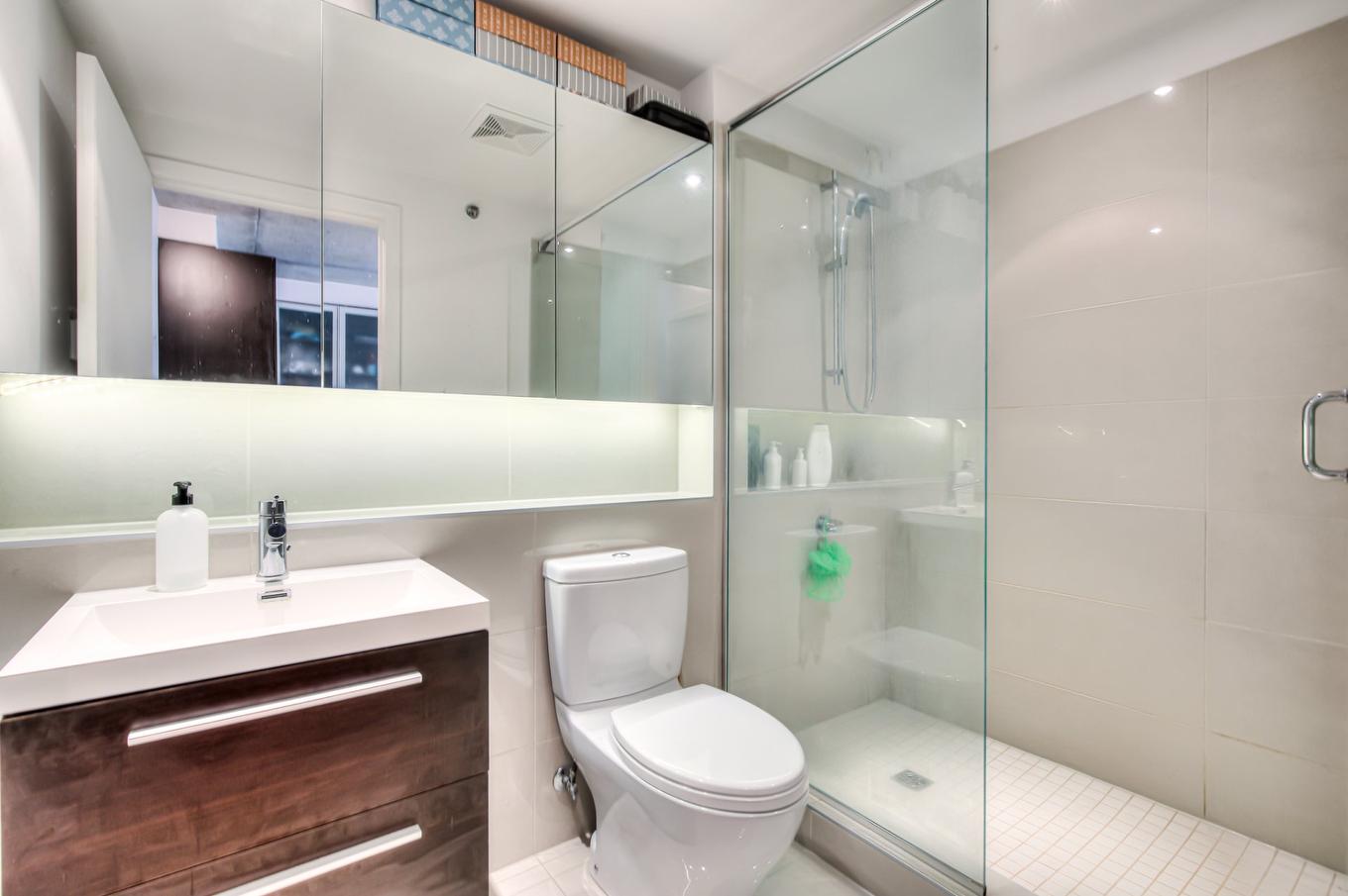 Salle de bains - 519-1000 Rue Ottawa, Montréal (Le Sud-Ouest), QC - Indoor Photo Showing Bathroom