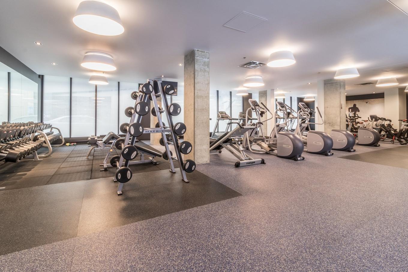 Salle d'exercice - 519-1000 Rue Ottawa, Montréal (Le Sud-Ouest), QC - Indoor Photo Showing Gym Room