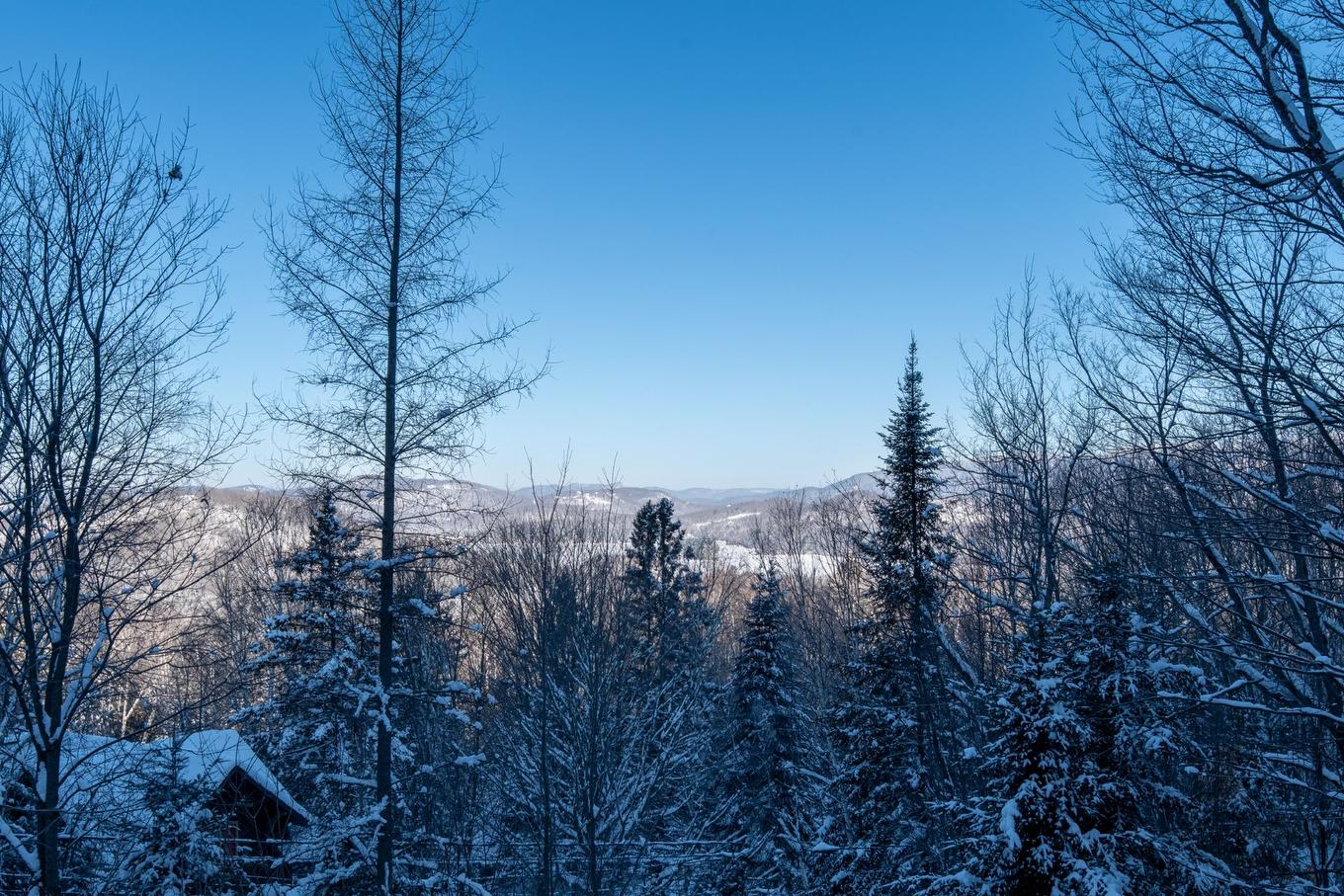 Vue - 534 Rue Des Merisiers, Mont-Tremblant, QC - Outdoor With View