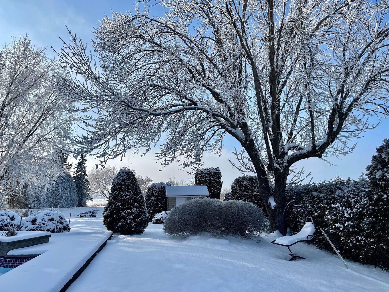 Backyard - 1593 Boul. Perrot, Notre-Dame-De-L'Île-Perrot, QC - Outdoor