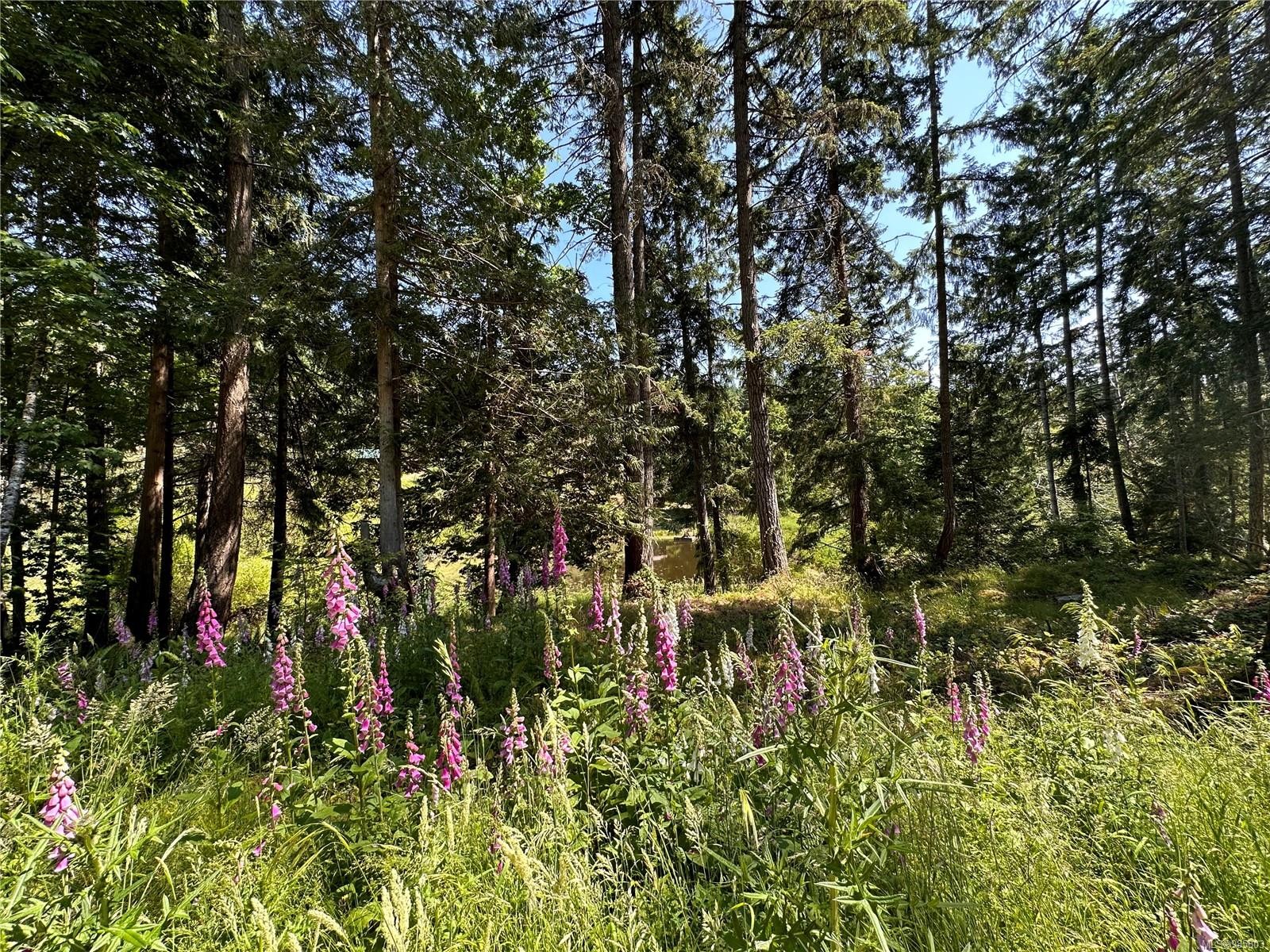 400 Baker Rd, Salt Spring, BC