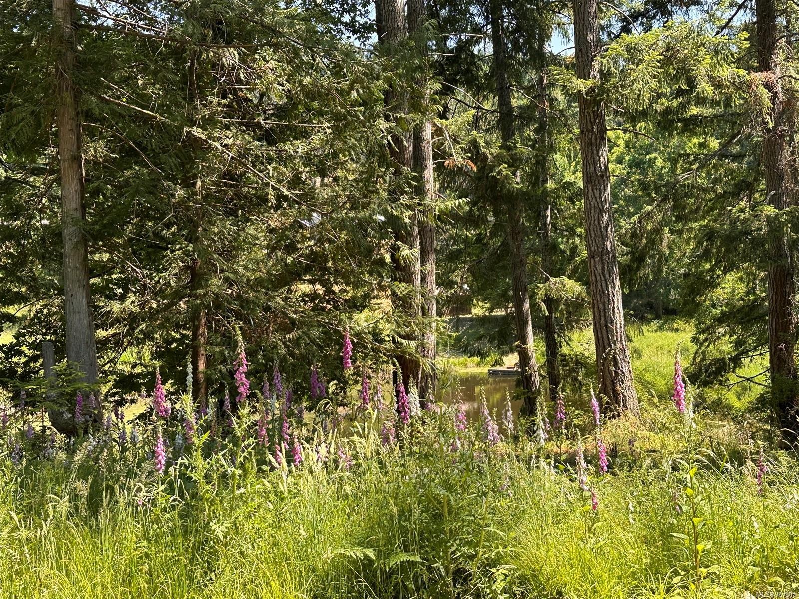 400 Baker Rd, Salt Spring, BC