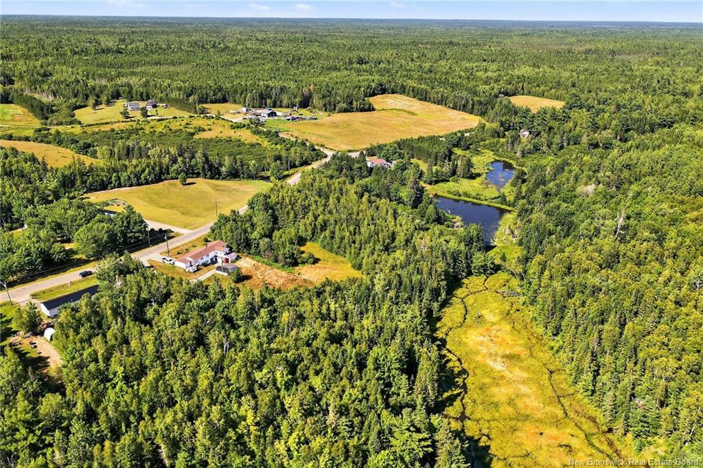 1145 Tweedie Brook Rd, Kouchibouguac, NB