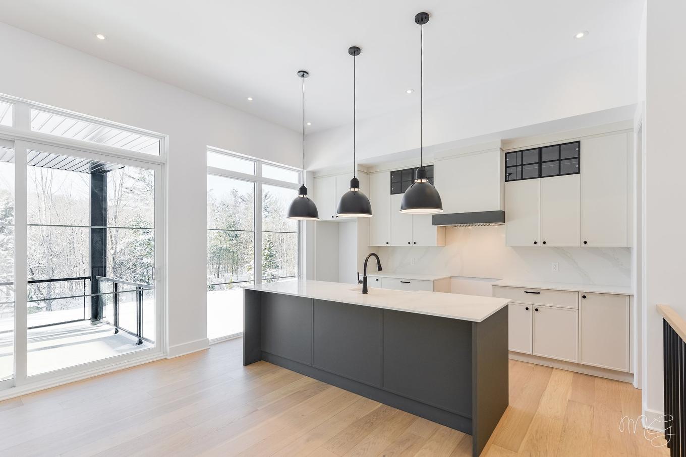 Cuisine - 1404 Place Des Vignes, Piedmont, QC - Indoor Photo Showing Kitchen With Upgraded Kitchen