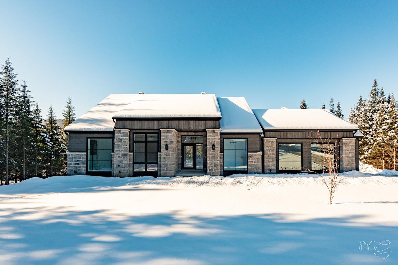 Extérieur - 1404 Place Des Vignes, Piedmont, QC - Outdoor