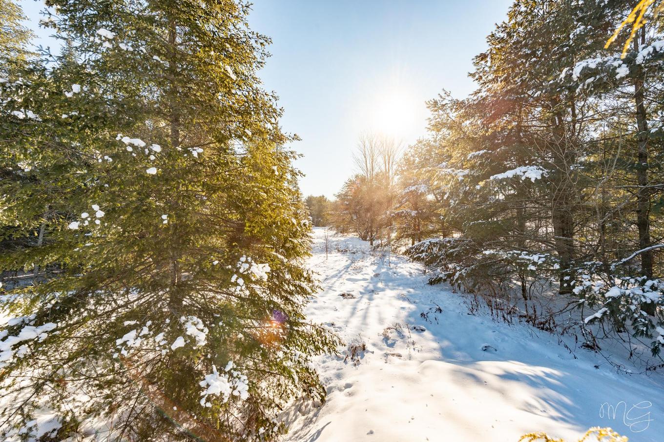 Extérieur - 1404 Place Des Vignes, Piedmont, QC - Outdoor