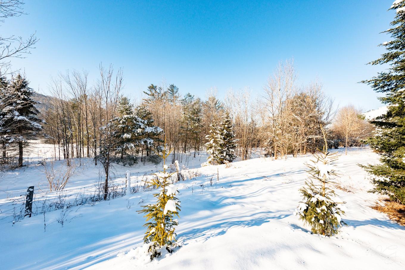 Extérieur - 1404 Place Des Vignes, Piedmont, QC - Outdoor With View