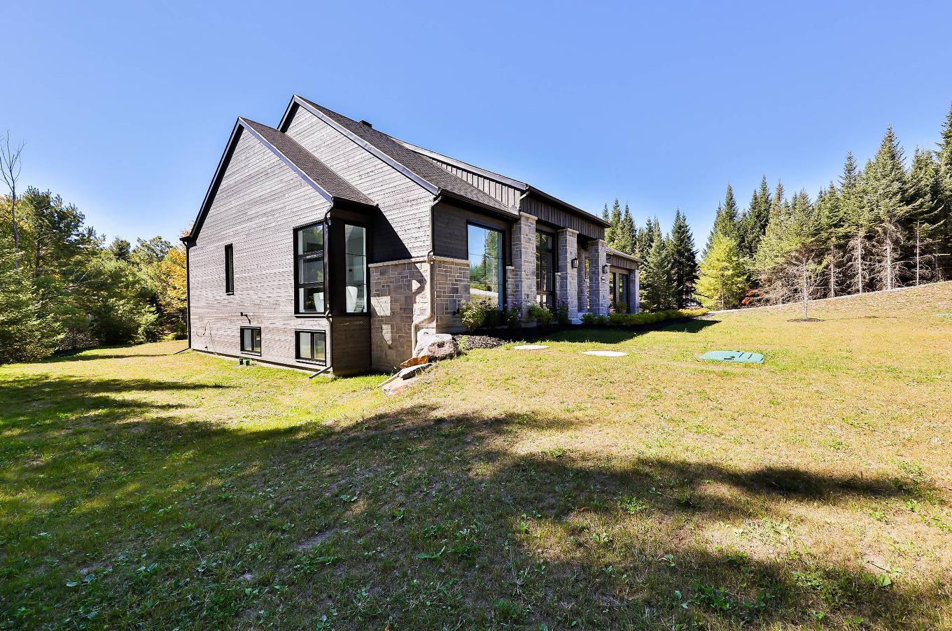 Extérieur - 1404 Place Des Vignes, Piedmont, QC - Outdoor