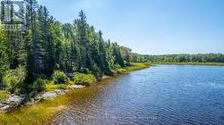 166 COLBOURNE ROAD Armour, ON P0A 1C0