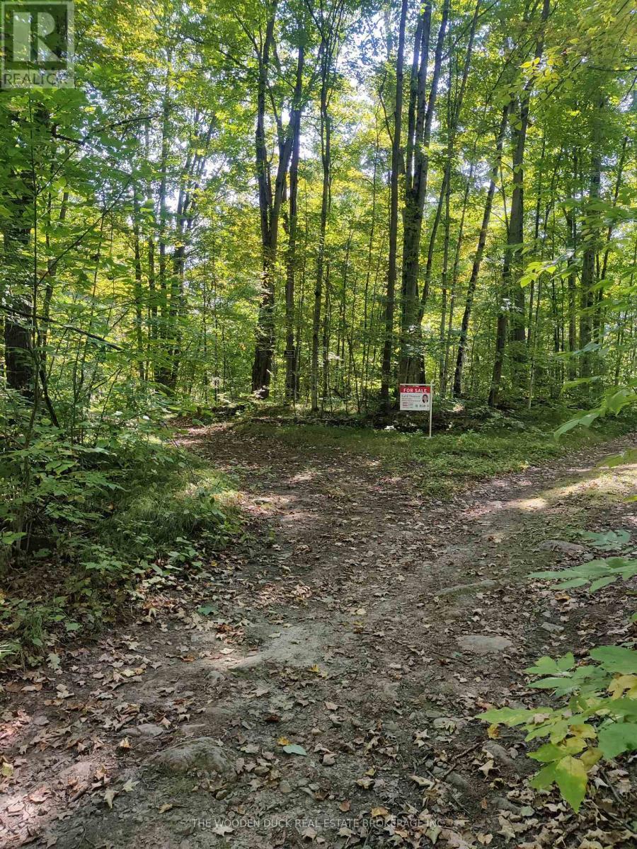 0East2 Road Allowance Road, Havelock-Belmont-Methuen (Belmont-Methuen), ON