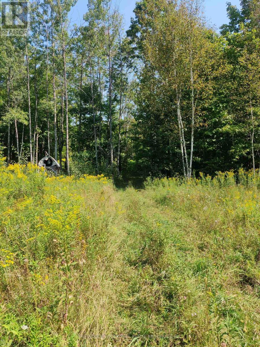 0East2 Road Allowance Road, Havelock-Belmont-Methuen (Belmont-Methuen), ON