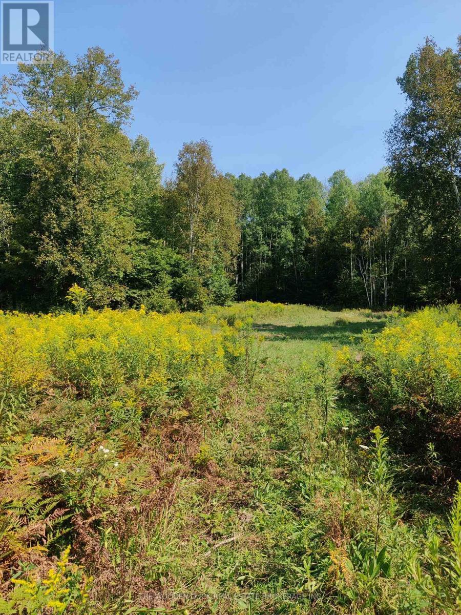 0East2 Road Allowance Road, Havelock-Belmont-Methuen (Belmont-Methuen), ON