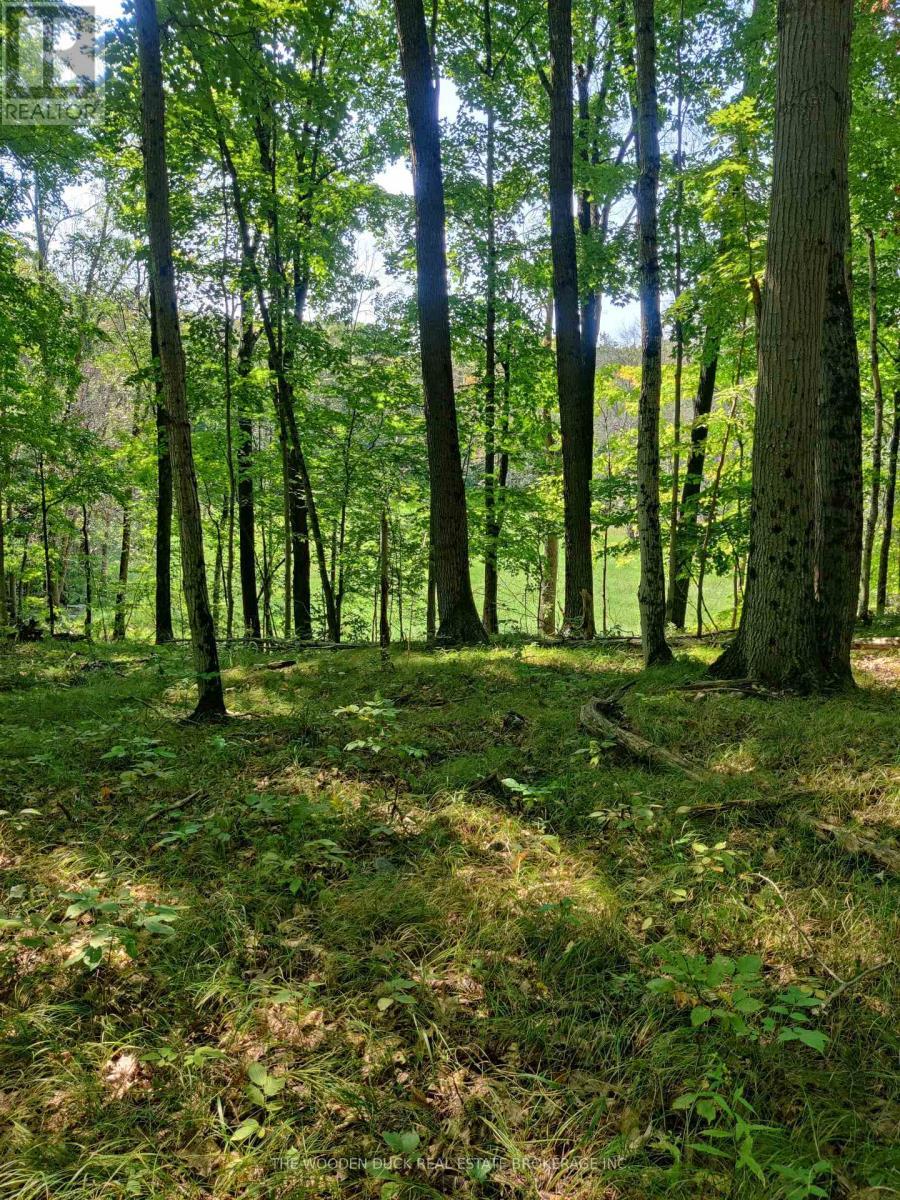 0East2 Road Allowance Road, Havelock-Belmont-Methuen (Belmont-Methuen), ON