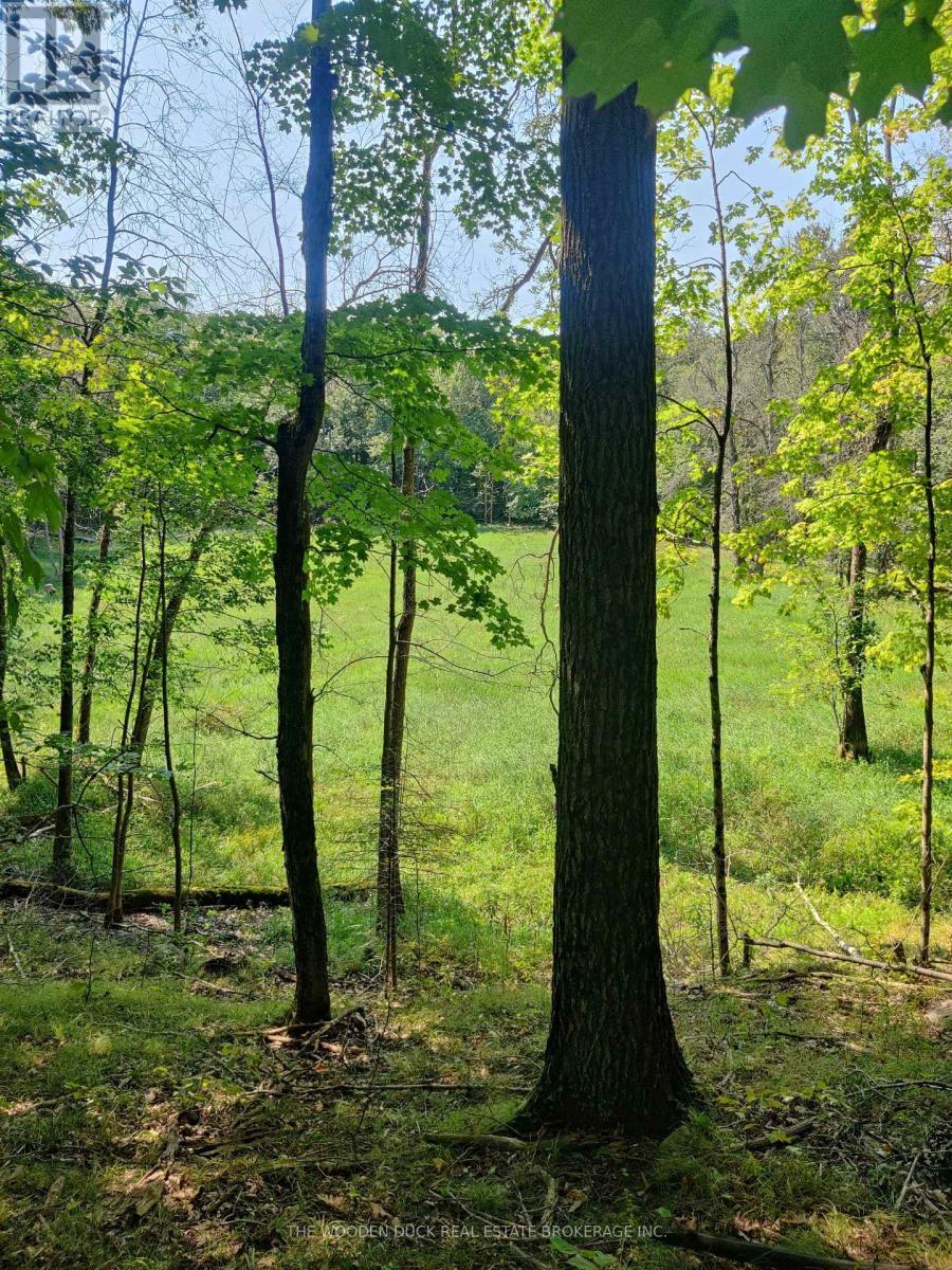 0East2 Road Allowance Road, Havelock-Belmont-Methuen (Belmont-Methuen), ON