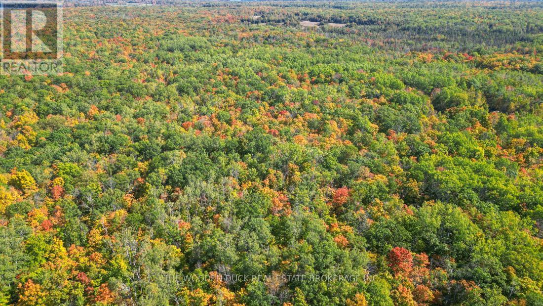 0East2 Road Allowance Road, Havelock-Belmont-Methuen (Belmont-Methuen), ON