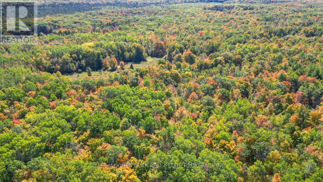 0East2 Road Allowance Road, Havelock-Belmont-Methuen (Belmont-Methuen), ON