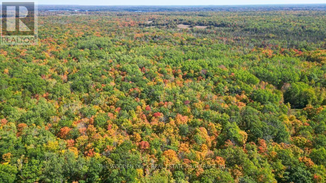 0East2 Road Allowance Road, Havelock-Belmont-Methuen (Belmont-Methuen), ON