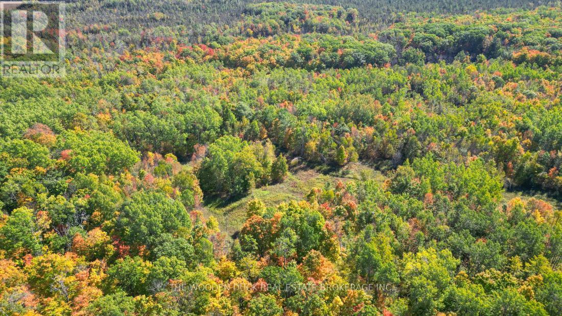 0East2 Road Allowance Road, Havelock-Belmont-Methuen (Belmont-Methuen), ON