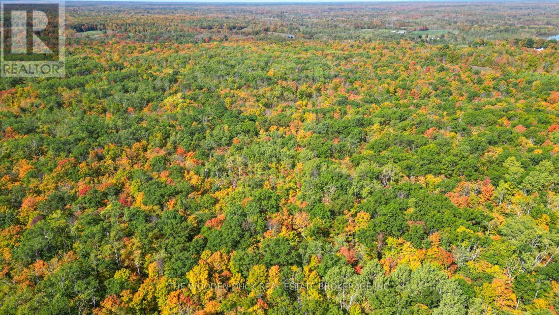 0East2 Road Allowance Road, Havelock-Belmont-Methuen (Belmont-Methuen), ON