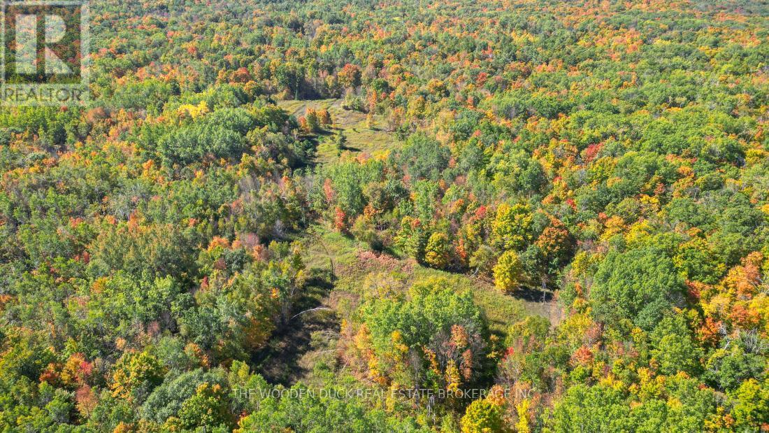 0East2 Road Allowance Road, Havelock-Belmont-Methuen (Belmont-Methuen), ON