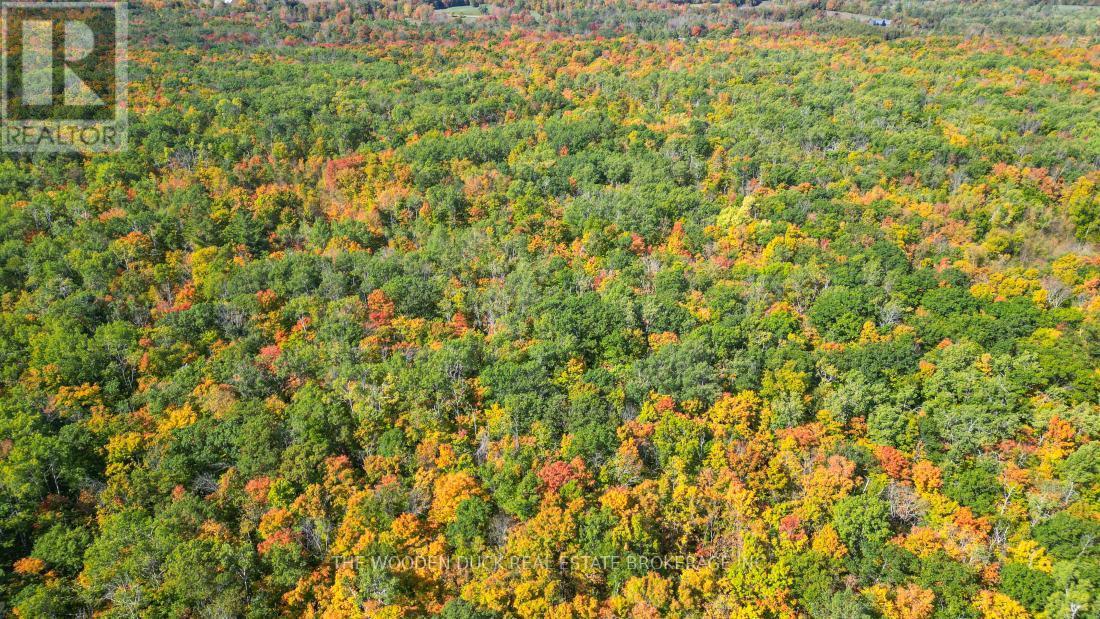 0East2 Road Allowance Road, Havelock-Belmont-Methuen (Belmont-Methuen), ON