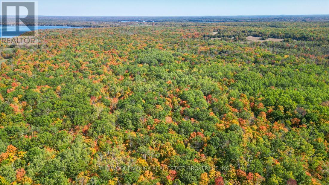 0East2 Road Allowance Road, Havelock-Belmont-Methuen (Belmont-Methuen), ON