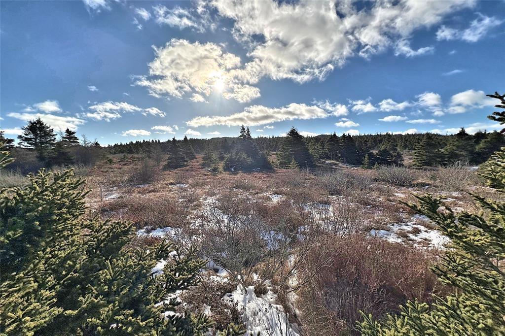 948-952 Water Street, Bay Roberts, NL