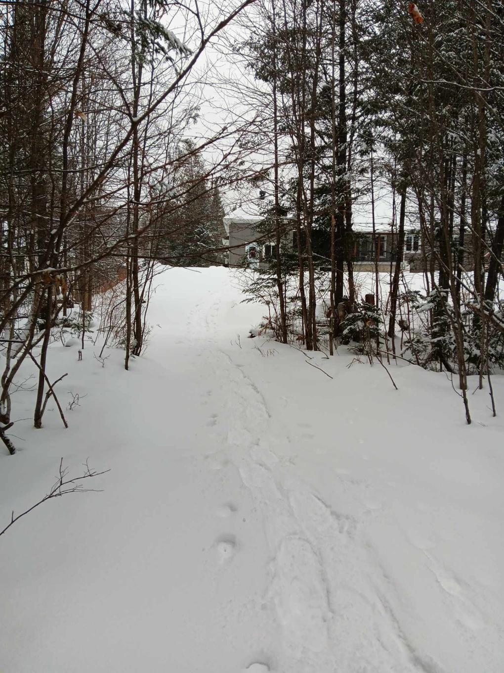 Boisé - 111 Rue Du Joli-Bois, Sainte-Marguerite-Du-Lac-Masson, QC - Outdoor With View