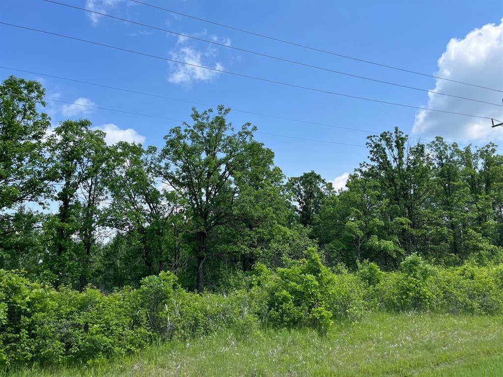 3 Pr 302 Highway S, Ste Anne Rm, MB