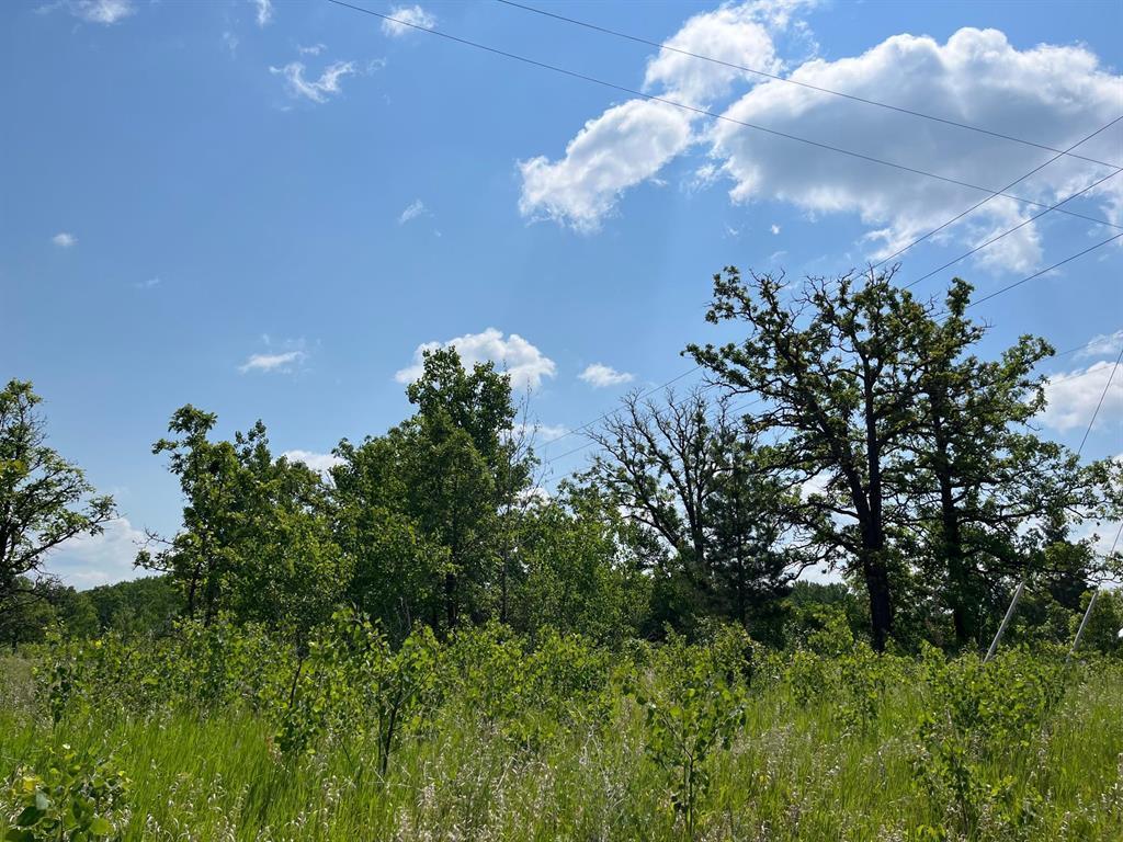 3 Pr 302 Highway S, Ste Anne Rm, MB