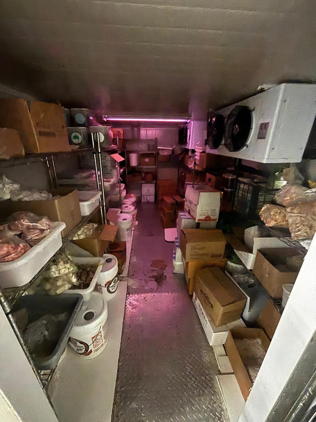 Other - 1609 Rue Ste-Catherine O., Montréal (Ville-Marie), QC