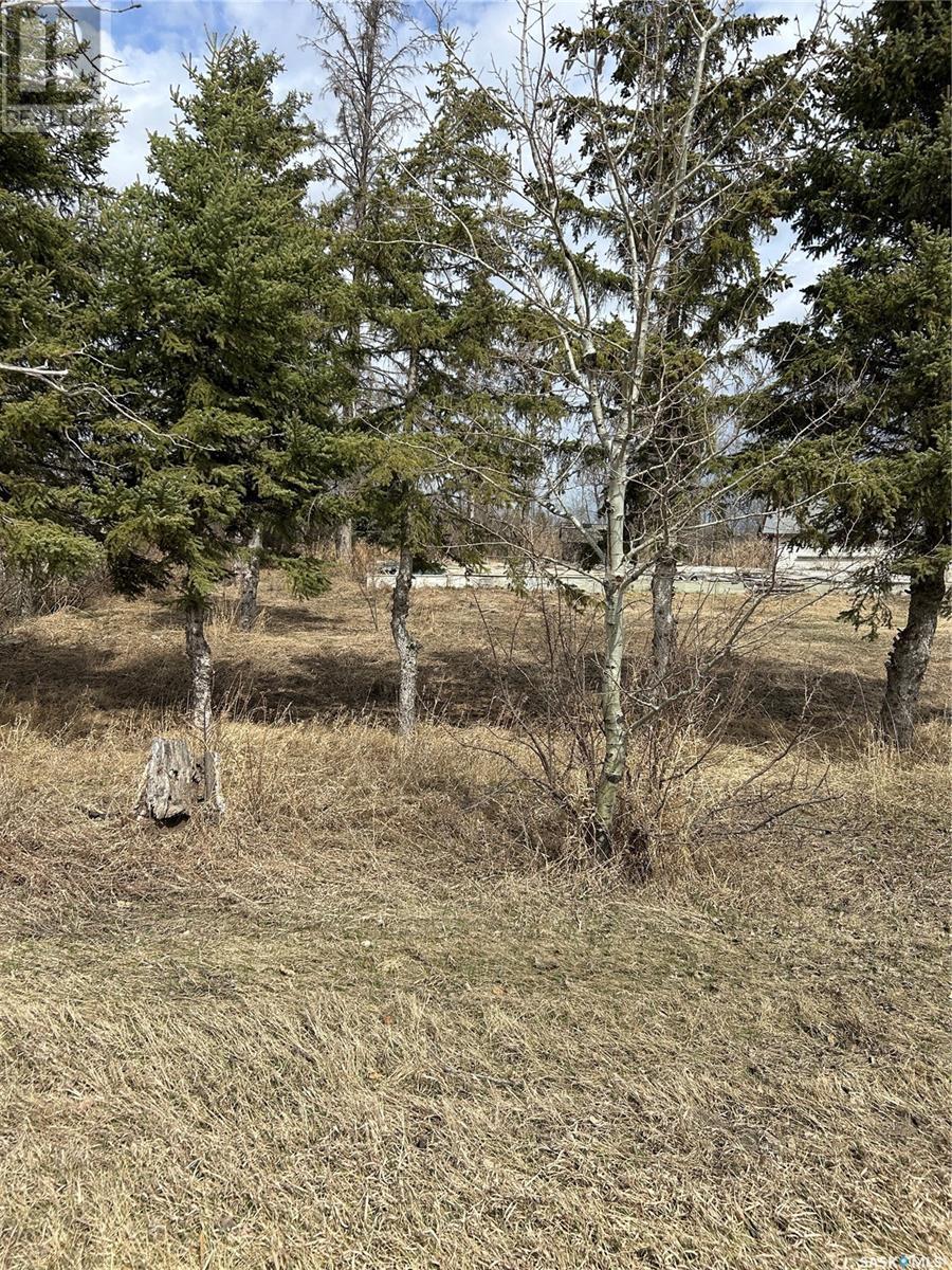 Mcgregor Acreage, Star City, SK