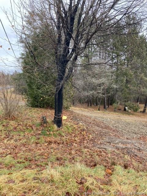 403 Northside Dr, Minto, NB