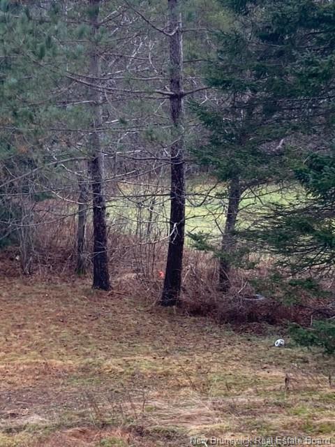 403 Northside Dr, Minto, NB