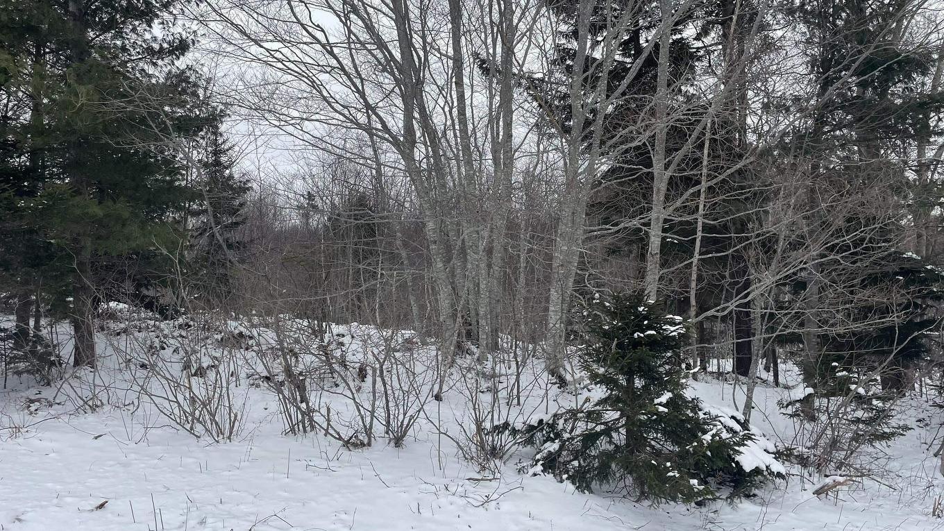 Lot 2 Jordantown Cross Road, Conway, NS