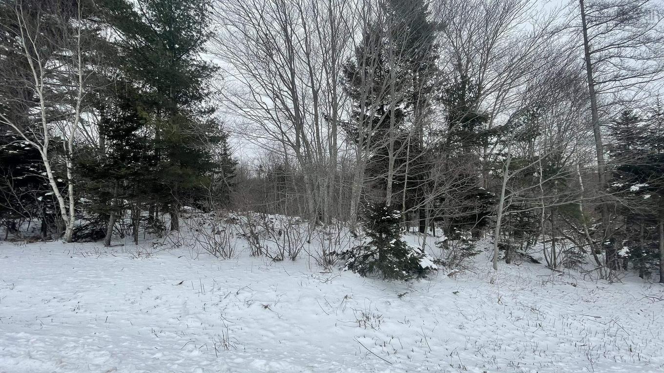 Lot 2 Jordantown Cross Road, Conway, NS