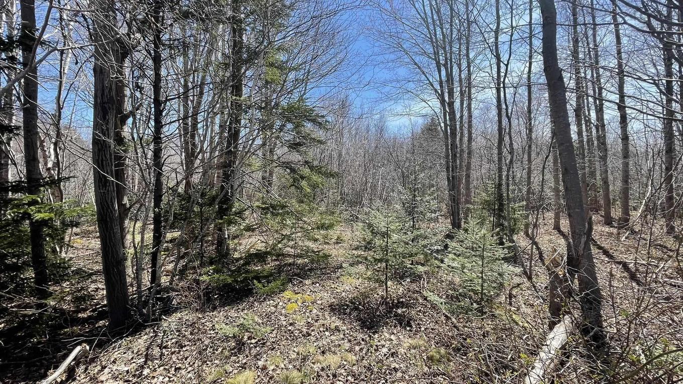 Lot 2 Jordantown Cross Road, Conway, NS