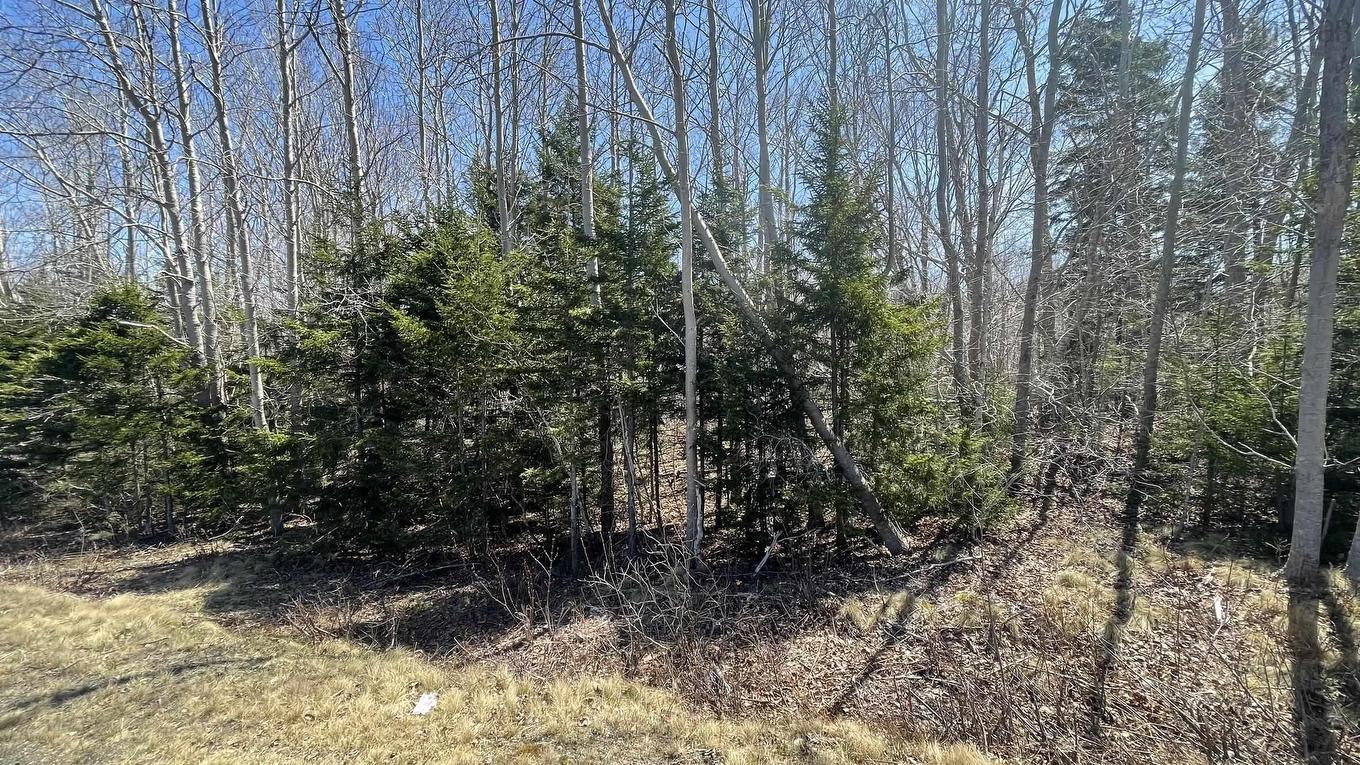Lot 2 Jordantown Cross Road, Conway, NS