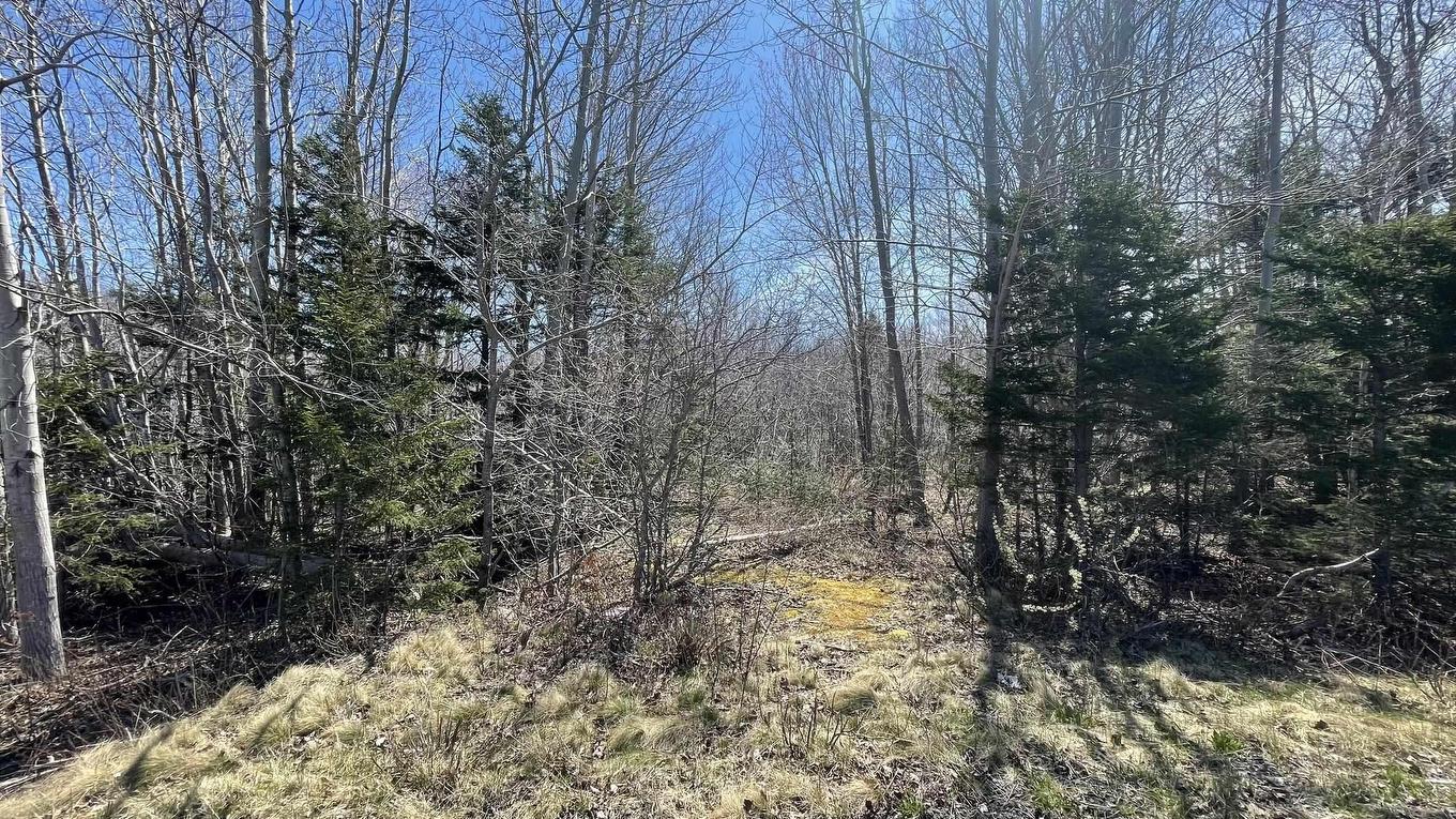Lot 2 Jordantown Cross Road, Conway, NS