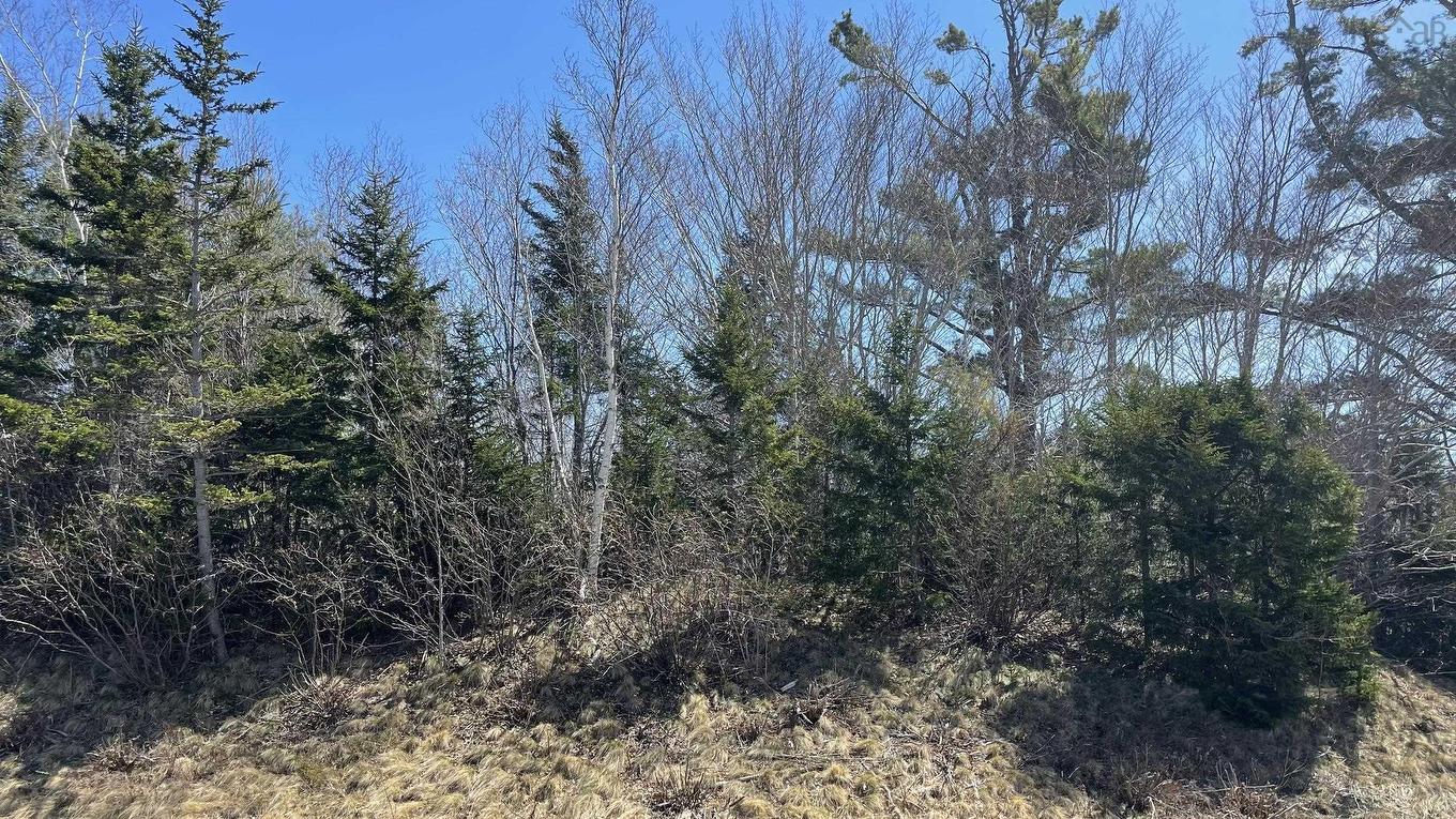 Lot 3 Jordantown Cross Road, Conway, NS