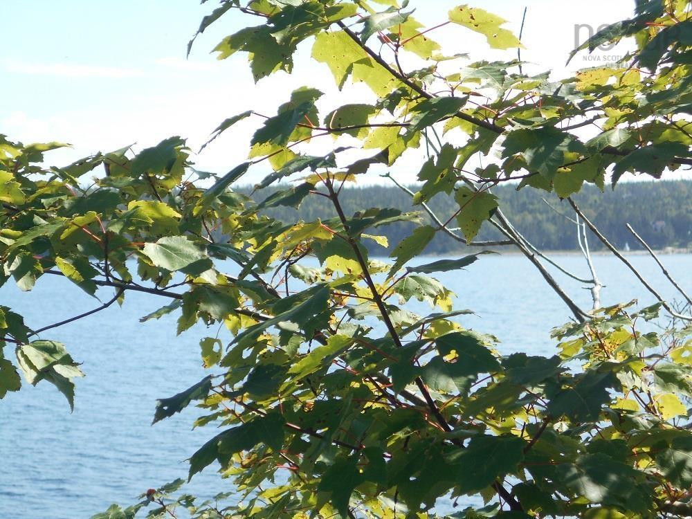 Lot 2 Shad Bay, Shad Bay, NS