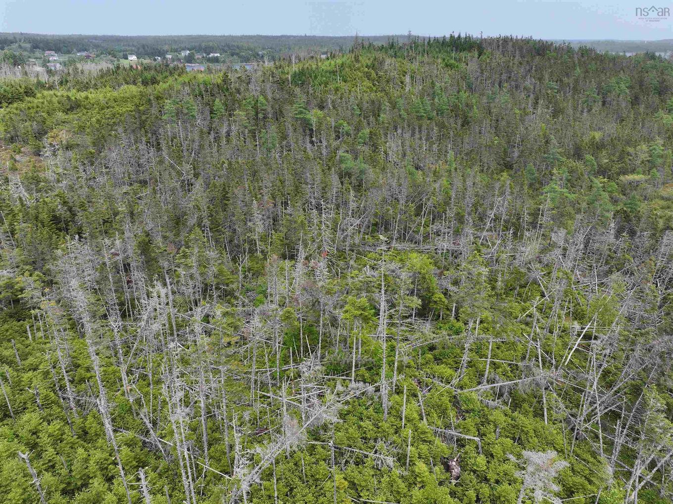 Lot 1 Mackinley Point Road, Spanish Ship Bay, NS