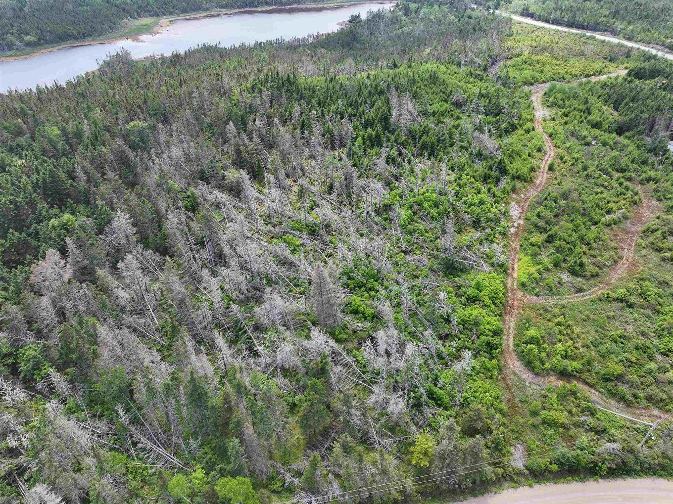 Lot 1 Mackinley Point Road, Spanish Ship Bay, NS