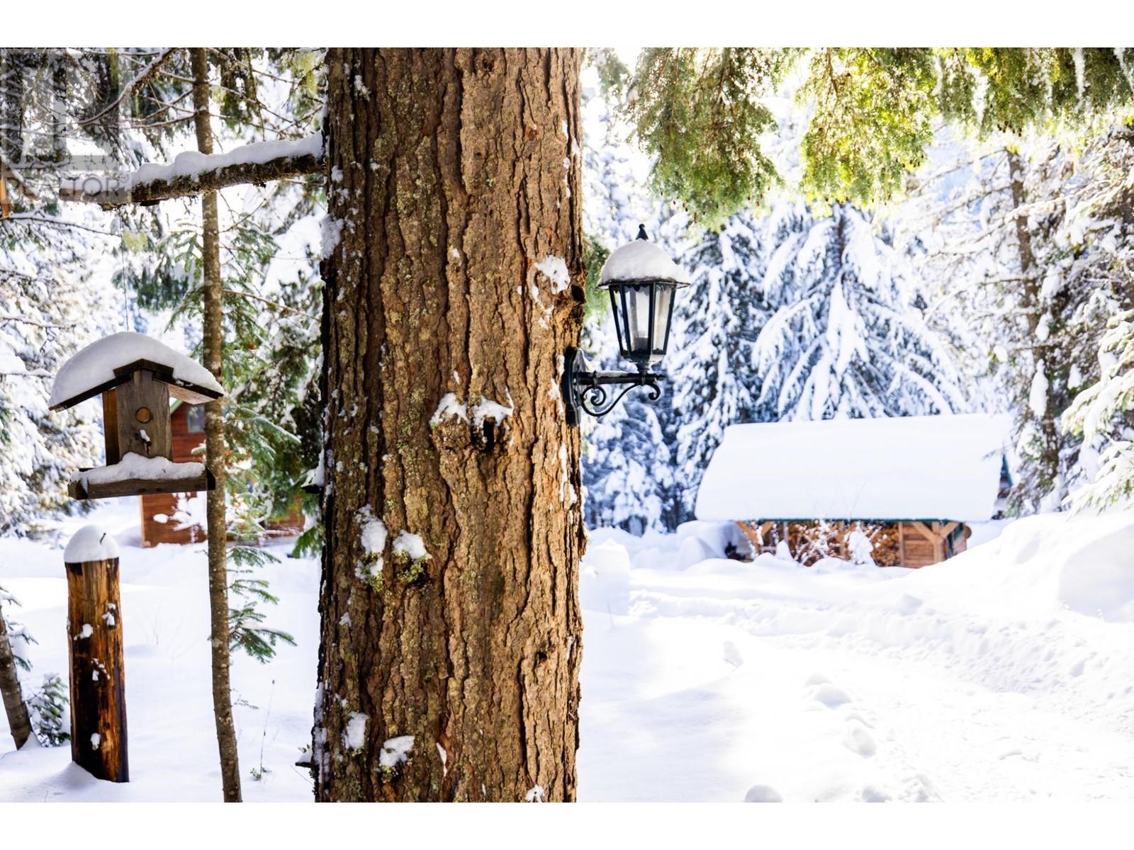 6225 Porto Rico Ymir Road, Ymir, BC - Outdoor