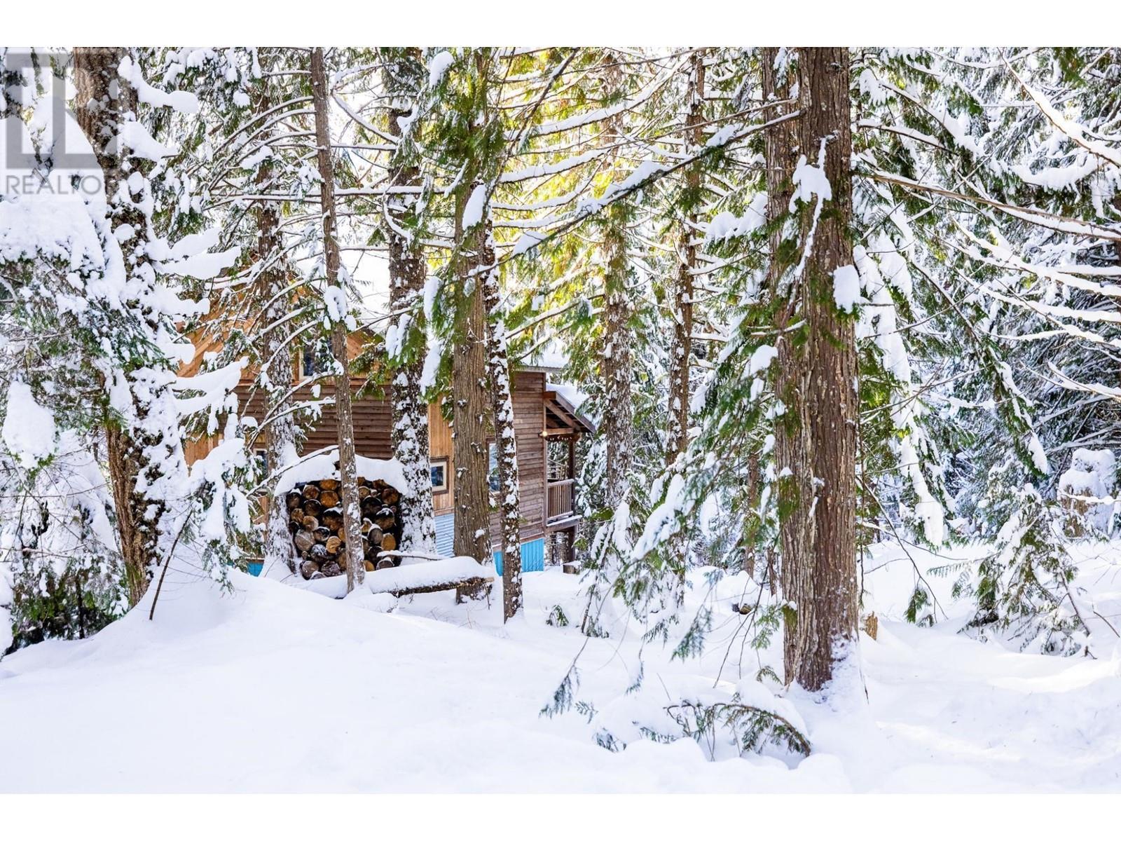 6225 Porto Rico Ymir Road, Ymir, BC - Outdoor