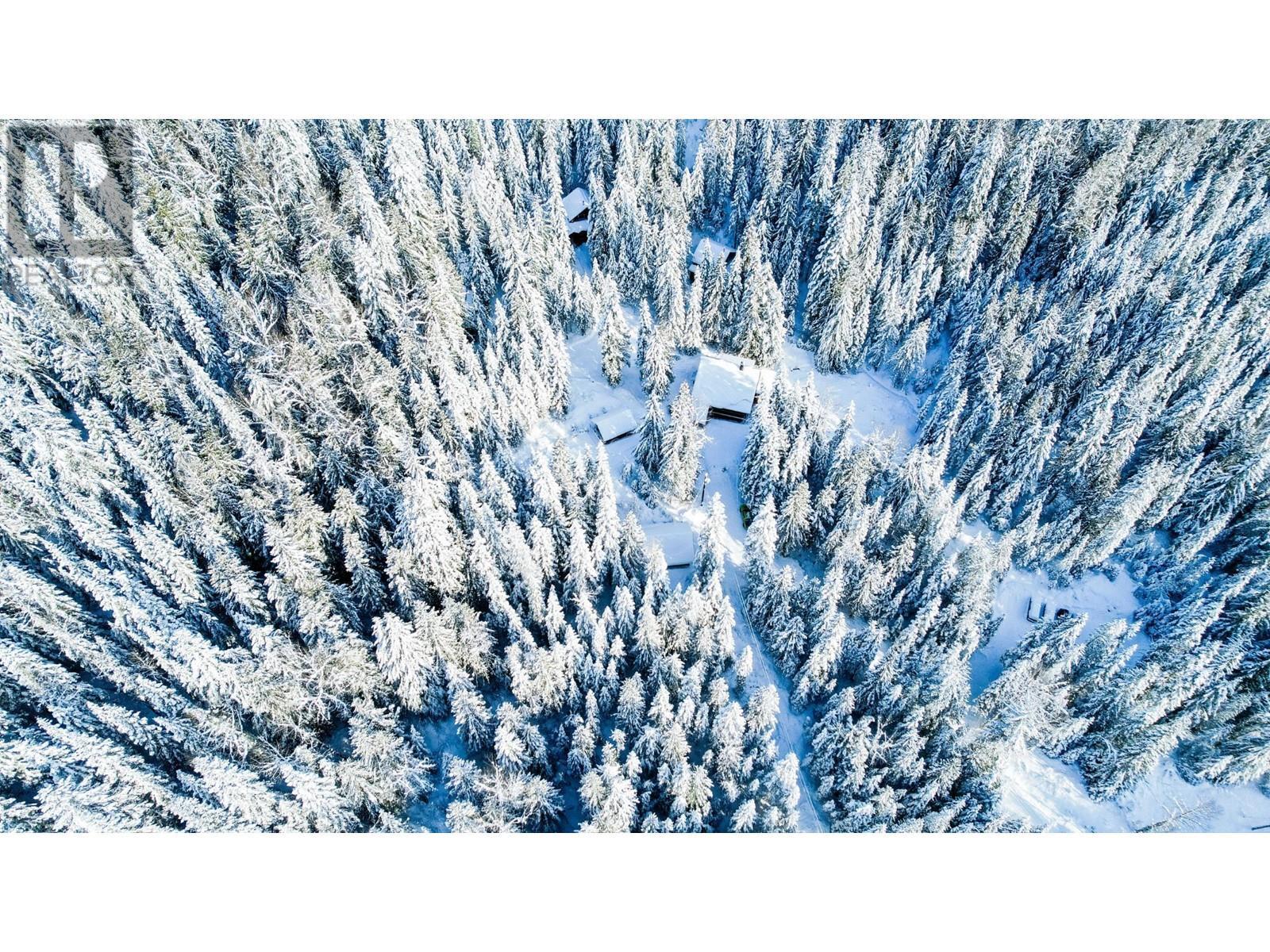 6225 Porto Rico Ymir Road, Ymir, BC - Outdoor