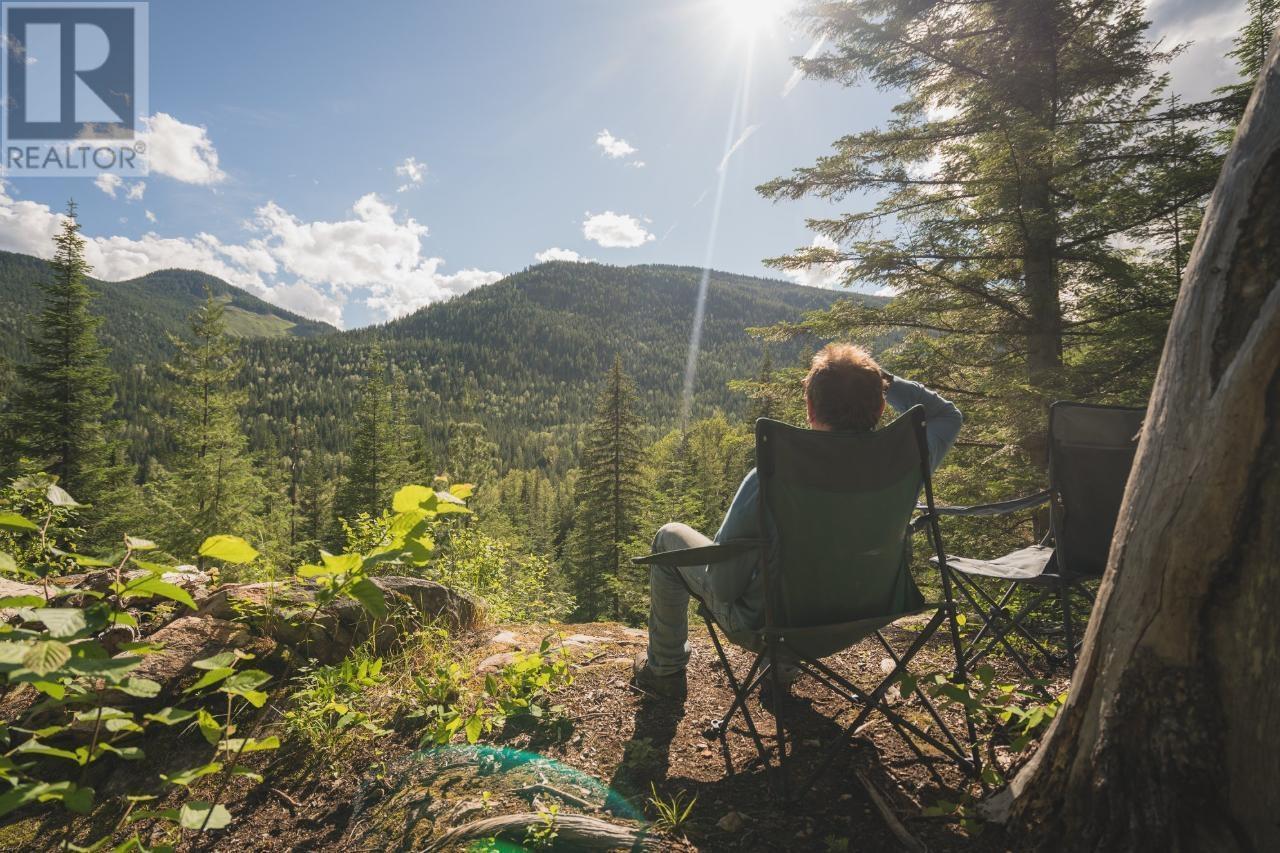 6225 Porto Rico Ymir Road, Ymir, BC - Outdoor With View