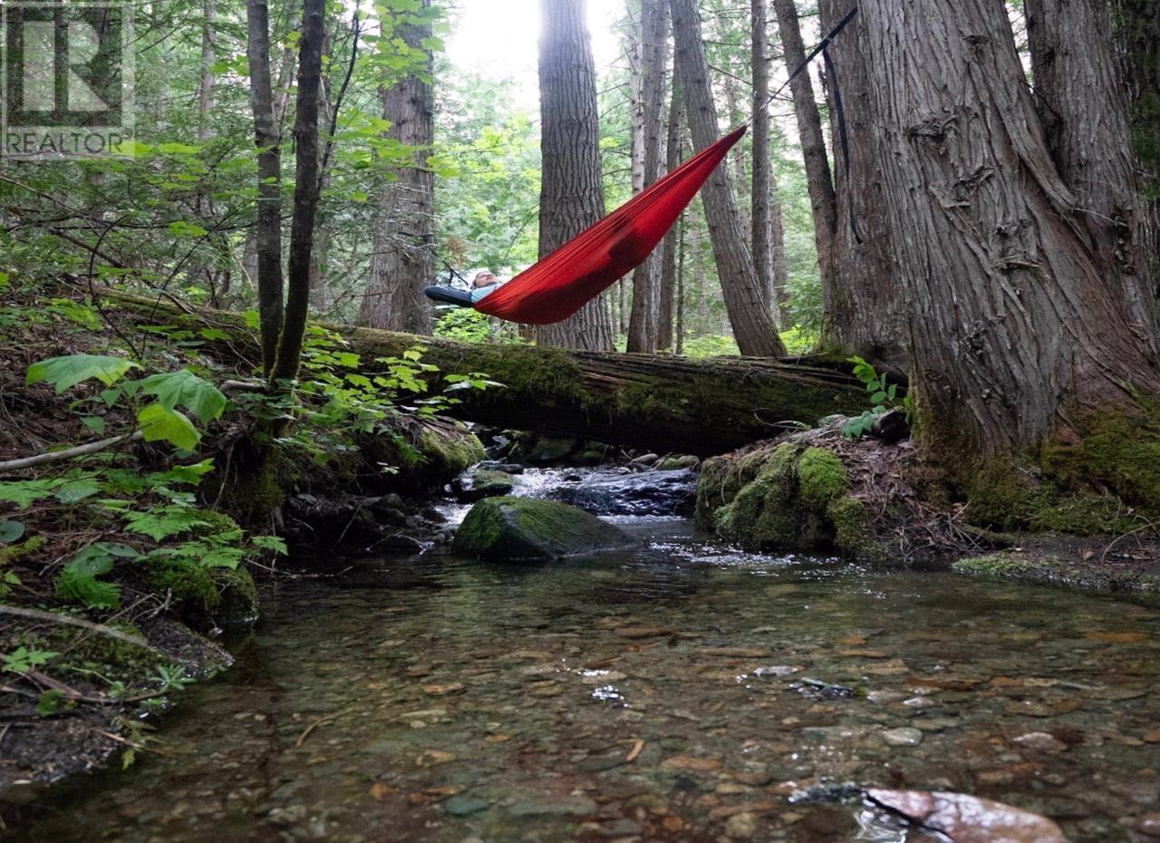 6225 Porto Rico Ymir Road, Ymir, BC - Outdoor