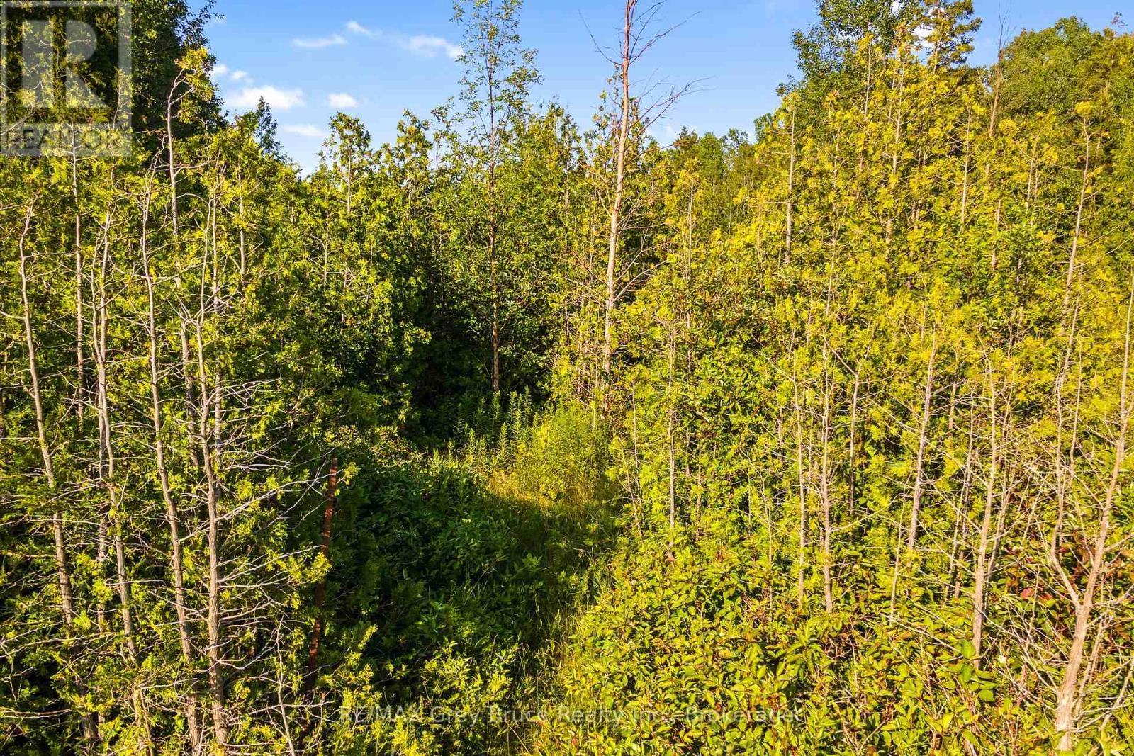 Part 10 Highway 6, Northern Bruce Peninsula, ON